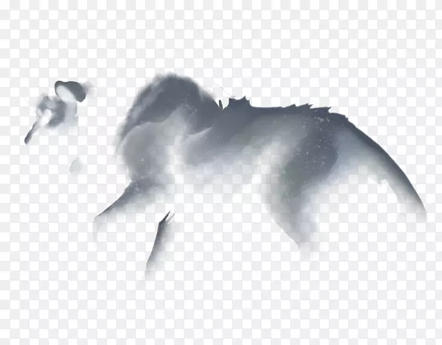 ̨ʽ����ֽ���ӵ��Զ����ֽ����ʨ-������