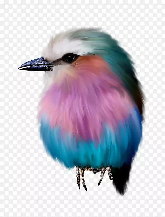 ����滭����.��ɫ����-������