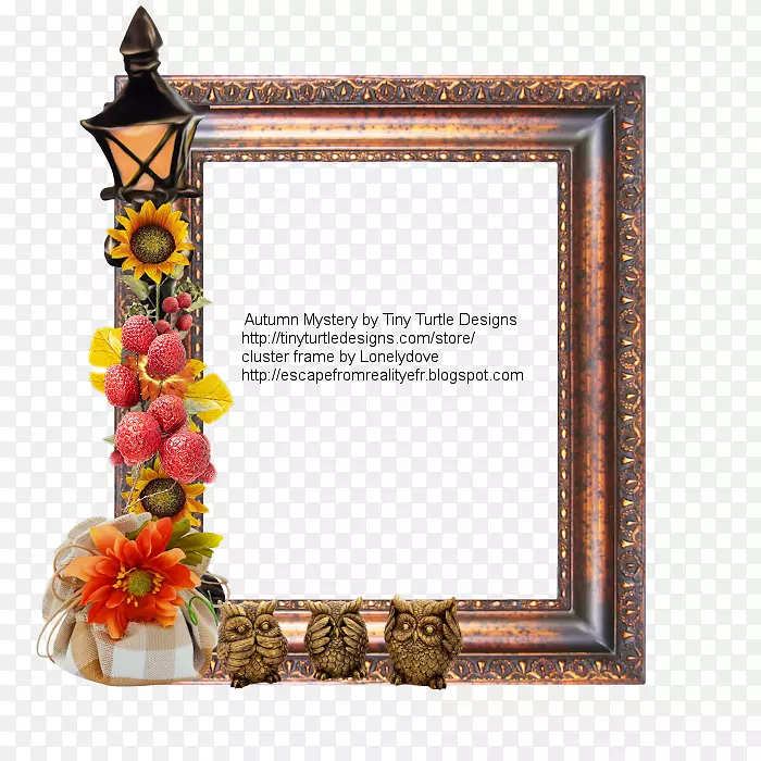 ��򳤷��λ�-�¶�������-������