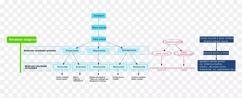 ������ϵͳ����������������ͼ-������