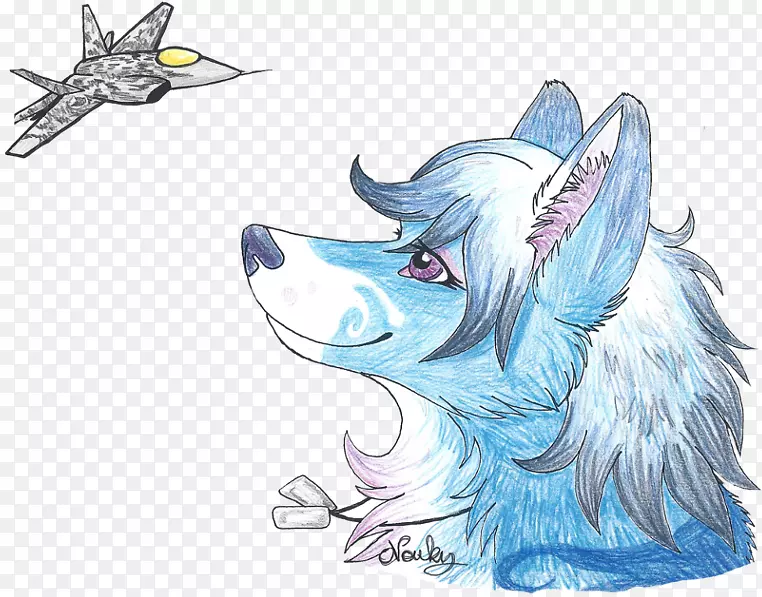 ������������-�ǻ���-������