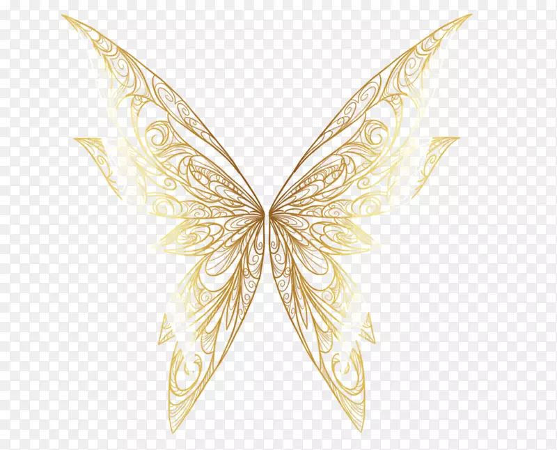 ���������궯��-����-������