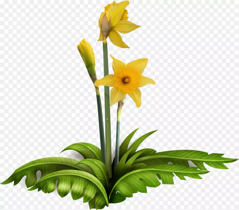 �л�õ�廨̳-������