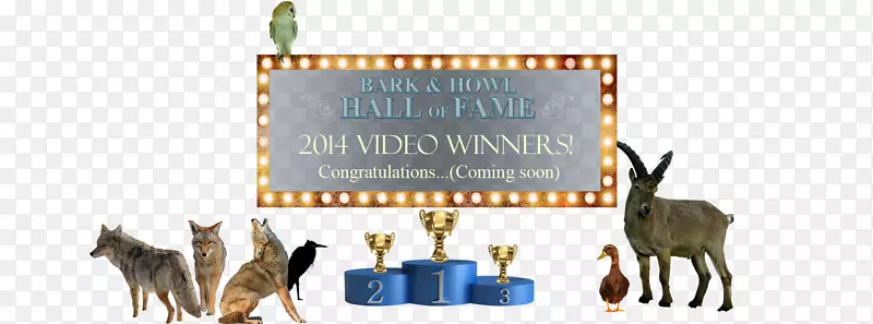 ¹��������Ұ��������Ƥ-������