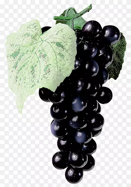 ���ѷ���-һ������-������