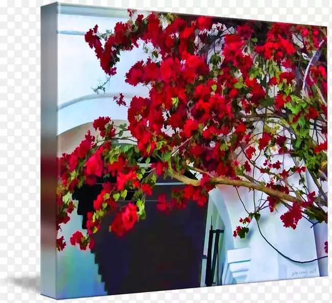 �л��������-������