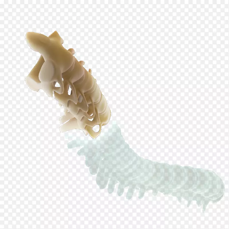 ������-�ǲ���-������