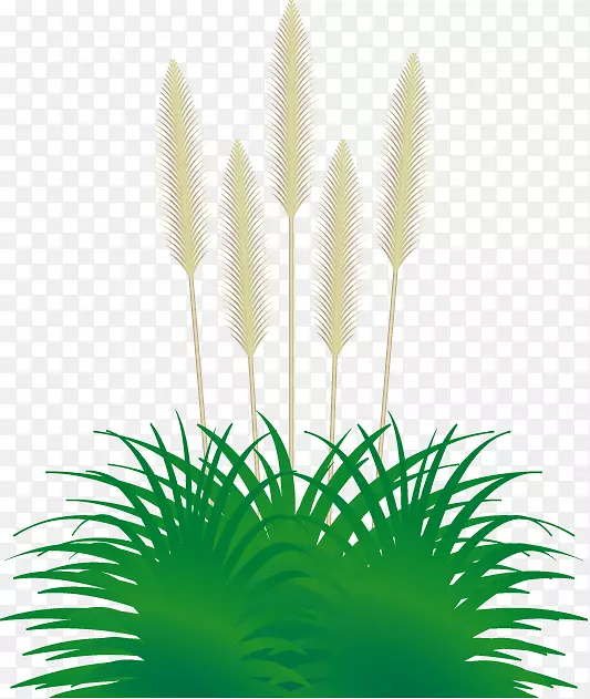 ����˹�ݹ��Ͳݼ������ﻨ-������