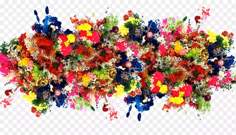 �л��������-����-������