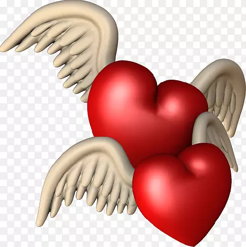 �Ķ��������ֽ����-��-������