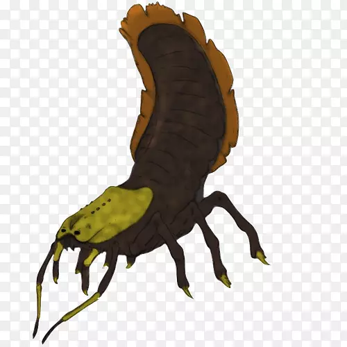 ��������������޼�׵����צ-��̬ˮ��-������