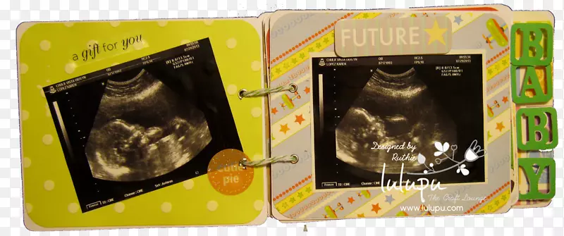 �����������������к�-����ר��-������