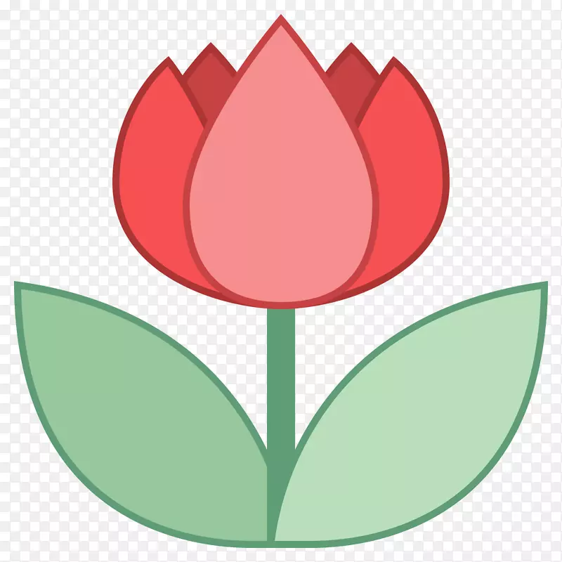 ����ֲ�������㻨��ٺϿ�-����������-������