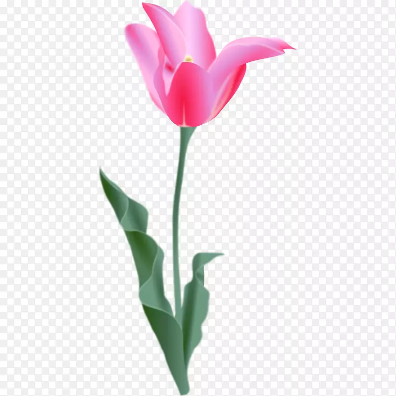 ���������ؼ�������-������-������