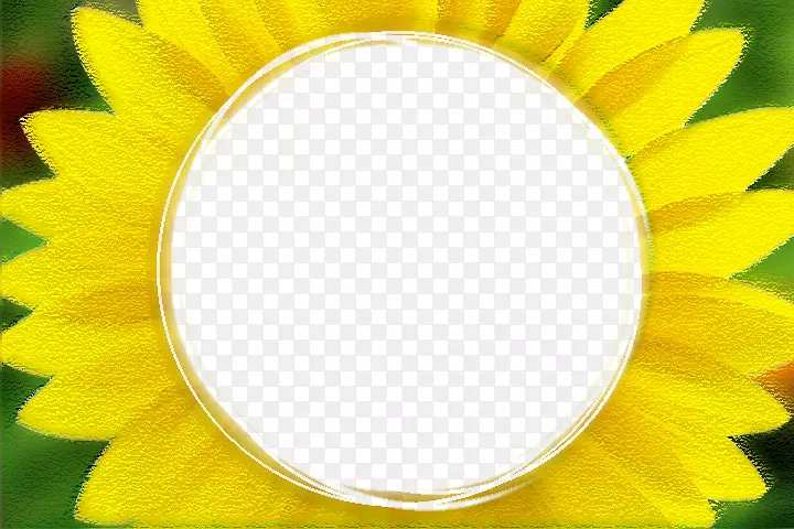 ���տ�-���տ��߽�-������