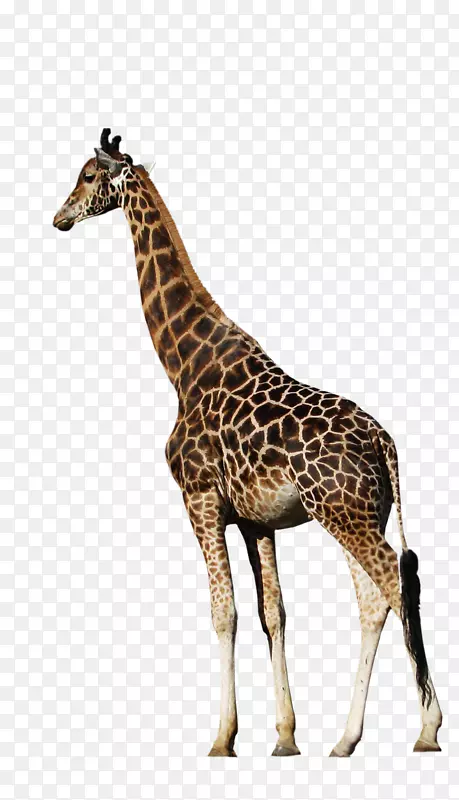 ��������¹���������-����-������