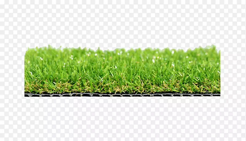 �ݡ��ݵ�ֲ��-��ڵı���-������