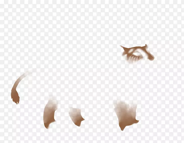 ��д����β���ۼ�-������