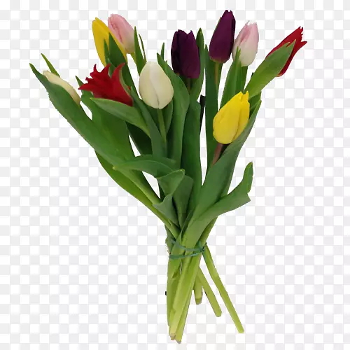 �������л�����-������