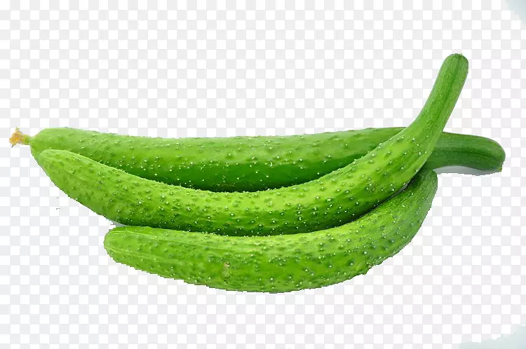 �ƹ��߲����ά���ػƹ�-������