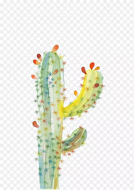 �����ƿ�ˮ�ʻ�������-������