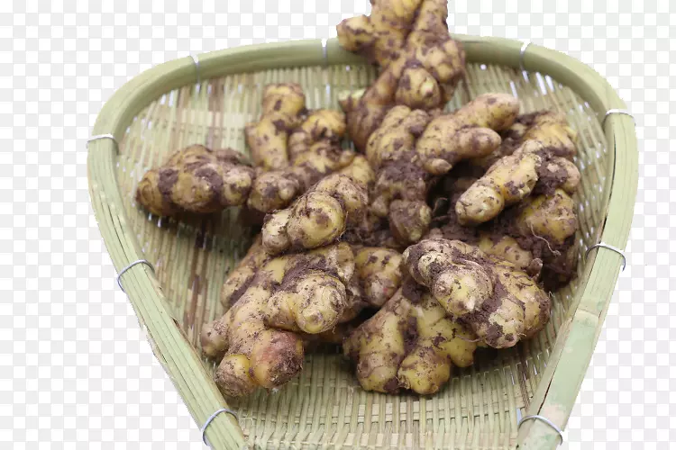 ��֭��-������