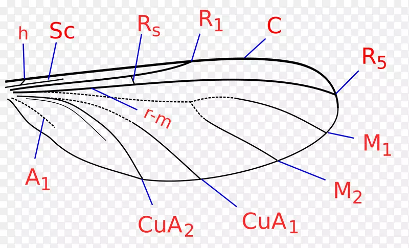 �ű���˫��Ŀ�������������¼-������