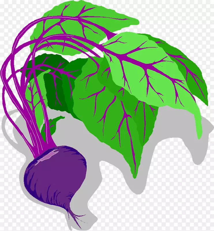 �߲����������ܲ�ʳƷ-�ܲ�-������