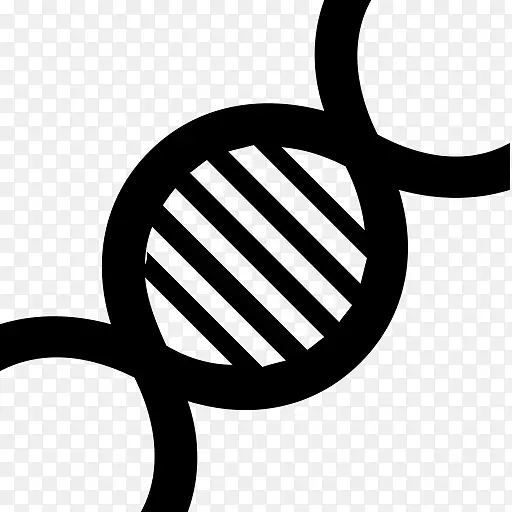 �Ƽ������ͼ�����������������-������