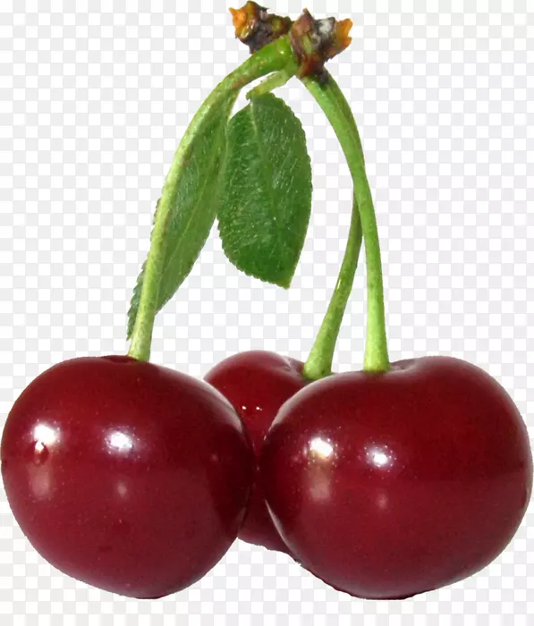 ���ָ���ӣ�Һͻ�˹�ء�ϯ�ָ���ӣ��-ƽ��-������