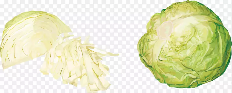 ��ײ˻�Ҭ���߲˾��Ĳ��߲�-������