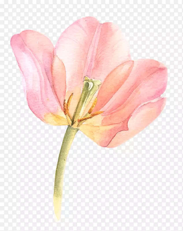 ˮ�ʻ�����ˮ�ʻ�������ˮ�ʻ�������ˮ�ʻ�-������