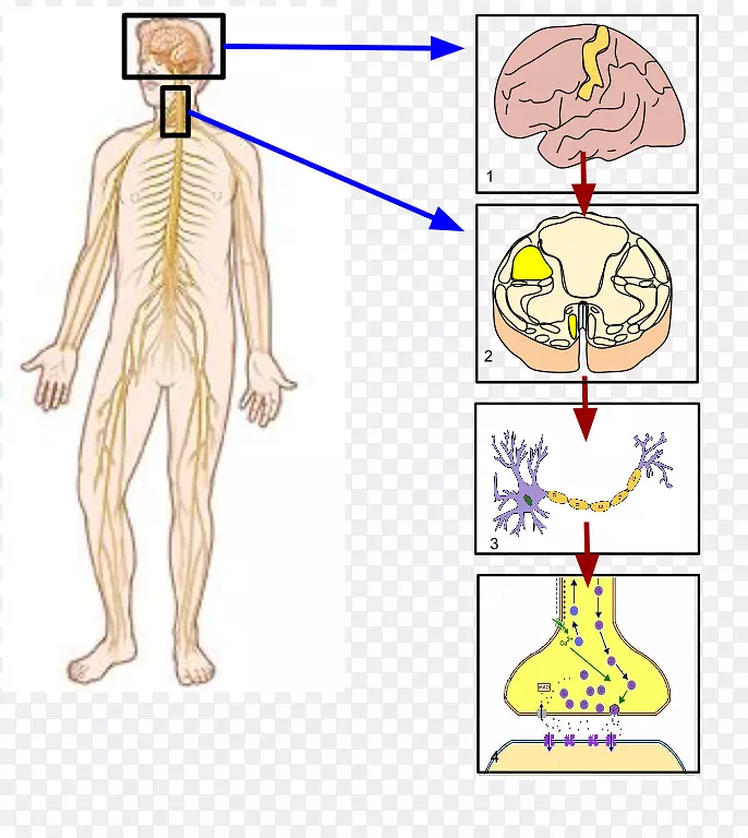 ������ϵͳ��������ϵͳ����������ϵͳ��������ϵͳ-��ϵͳ-������