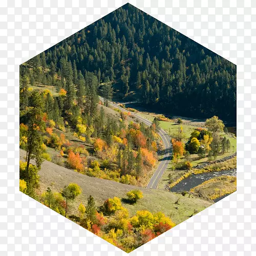 �羰��ʤ��-������