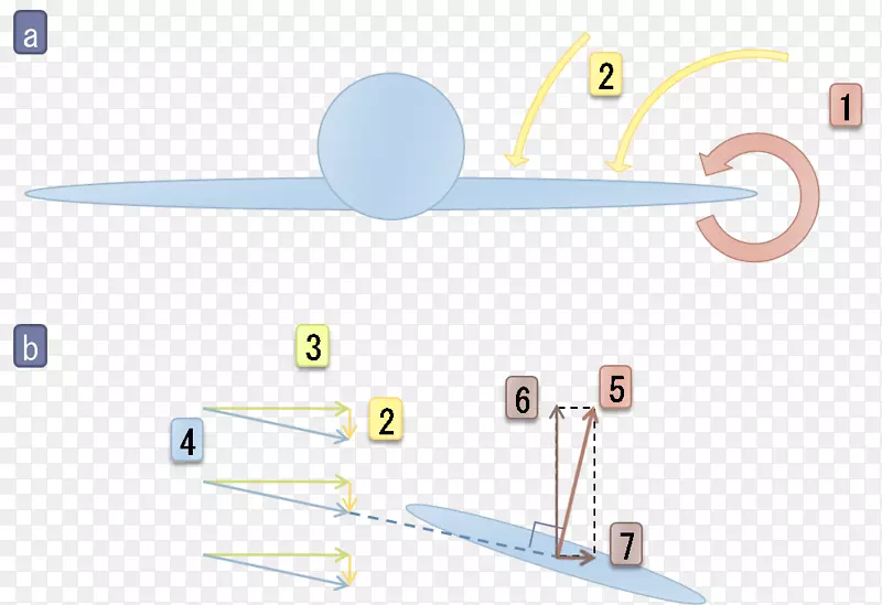 �߼�����������-������