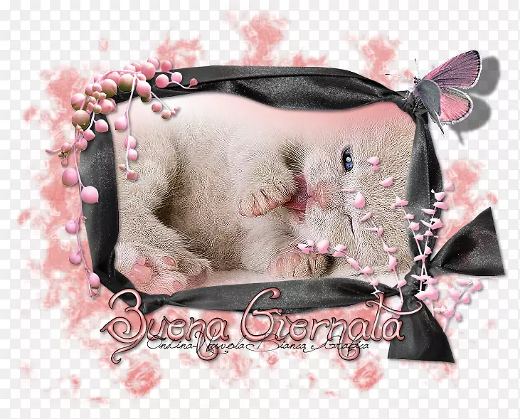 è�����Ӷ����-������-������