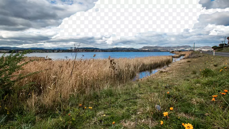 ��˹������Ϥ���ֽ-��˹�����ǣ��Ĵ�����13-������