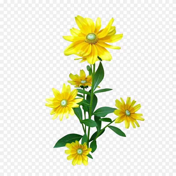 �廨����-�ջ�-������