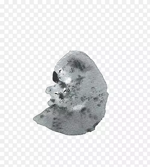 ����-ˮ�ʻ�����-������