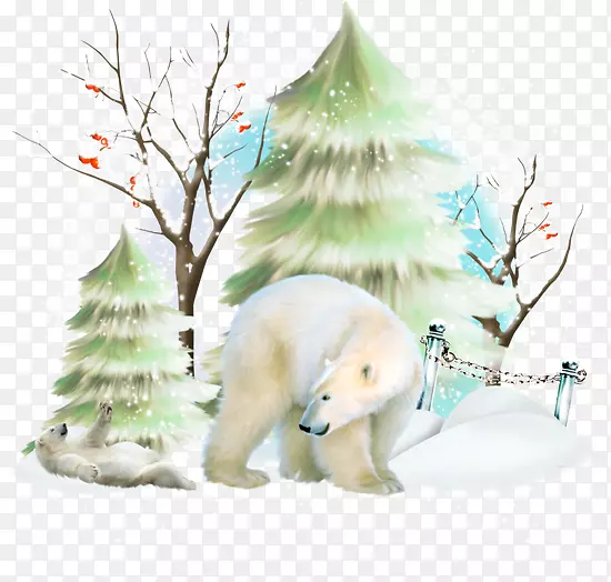 ����ʮ���·����Ŷ����ֻ汱����-������