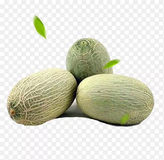 ���ܹ��۹���-����-������