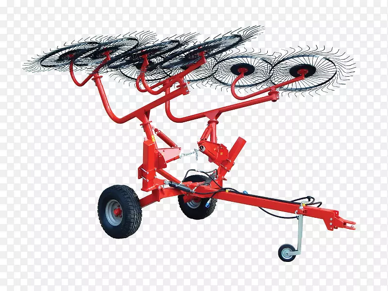 Gumtree Manjimup���ɲݰ�����-��ƥ������PNG-������