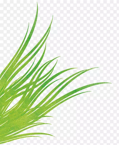 �ݡ���ݡ�Ҷ�۱���-������