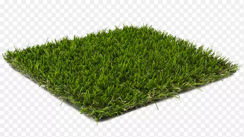 ��ƺ�����ƺ�ذ廨԰��̺īˮ���-������