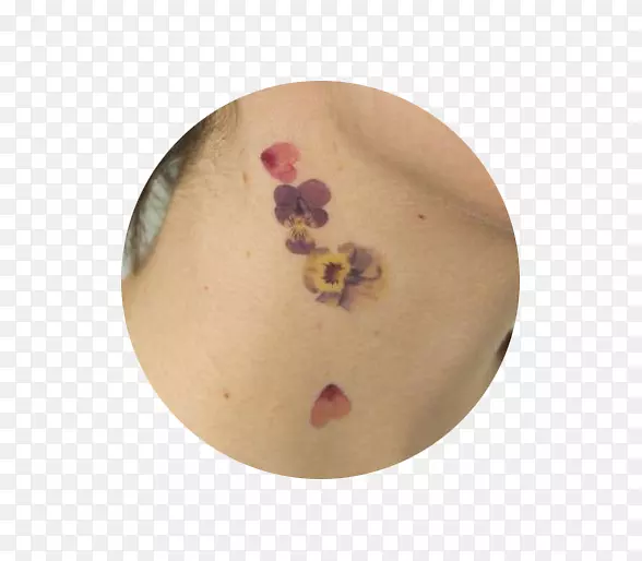 ���Ӳ;�-��������Сѧ��-������