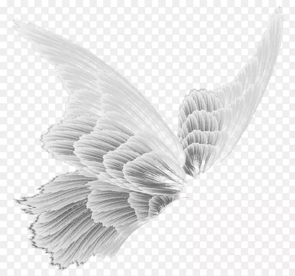 ���Ʒɻ�����-��ɫ���-������