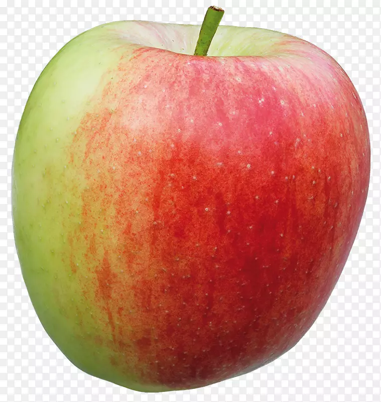 ����ʳƷ��ʳˮ��ʳƷ�������-������