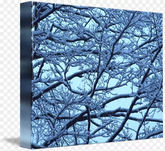 ��֦������������Ӱ.ѩ��-������