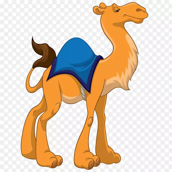 ���ն���������-����-������