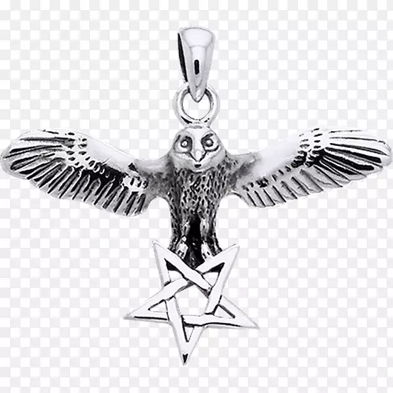 �����鱦���κ͵�׹������ӥ-������